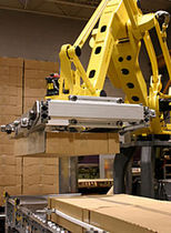 روبات مفصلی / پنج محوری / کاربرد در بسته بندی /  استفاده صنعتی