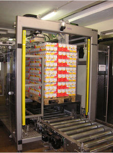 پالتایزر (پالت پر کن) گانتری(بازویی)| اتوماتیک | جعبه