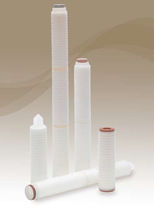 کارتریج فیلتر ریز |پلی اتر سولفون | برای نوشیدنی ها |  چین دار