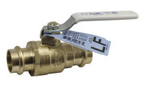 شیر توپی| برنجی